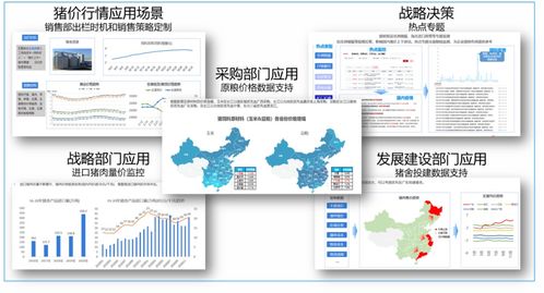 星谋云 猪价 跌跌不休 ,未来何去何从